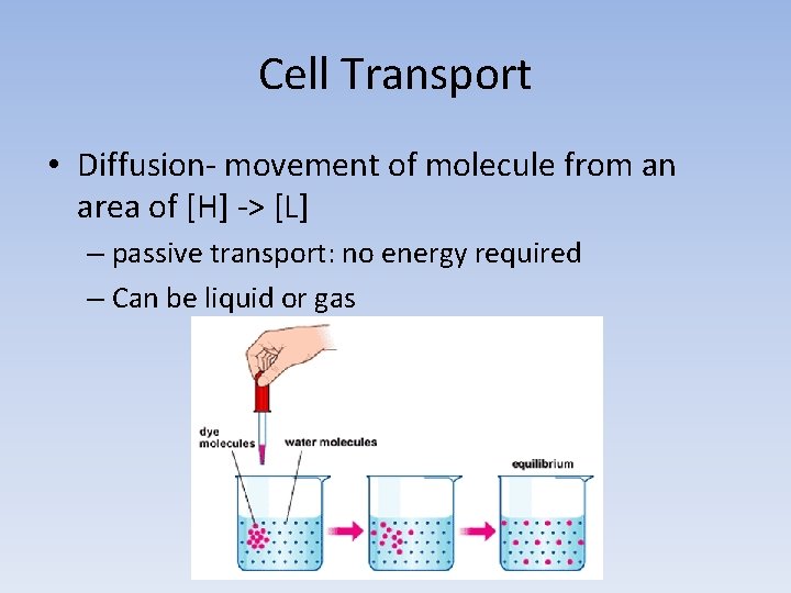 Cell Transport • Diffusion- movement of molecule from an area of [H] -> [L]