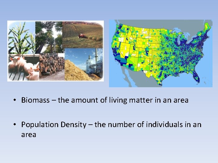  • Biomass – the amount of living matter in an area • Population