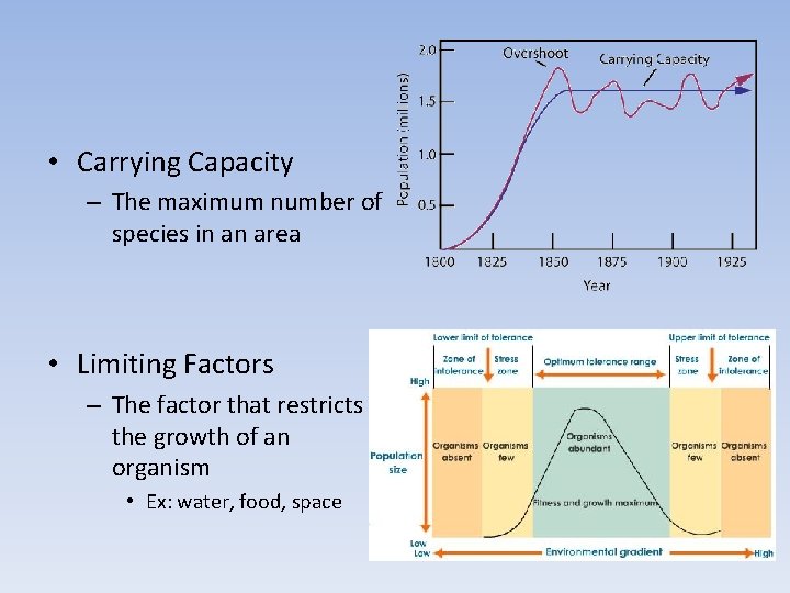  • Carrying Capacity – The maximum number of species in an area •