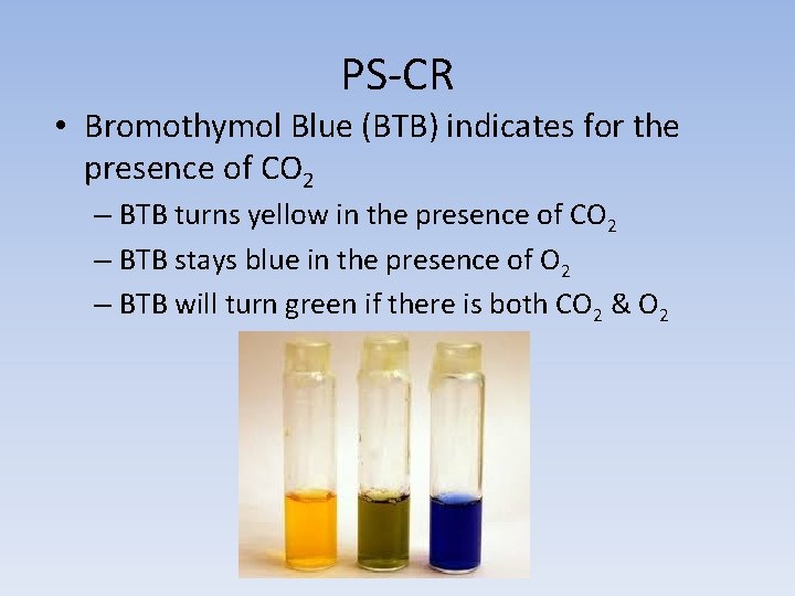 PS-CR • Bromothymol Blue (BTB) indicates for the presence of CO 2 – BTB