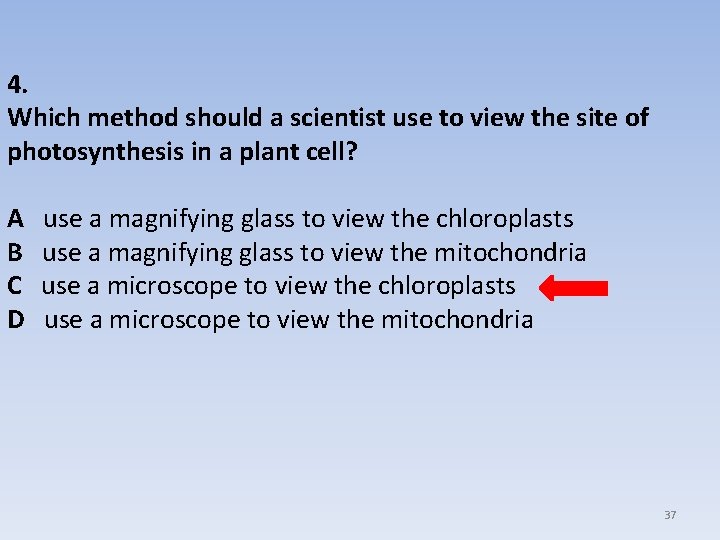 4. Which method should a scientist use to view the site of photosynthesis in
