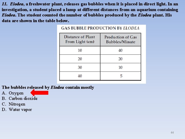 11. Elodea, a freshwater plant, releases gas bubbles when it is placed in direct