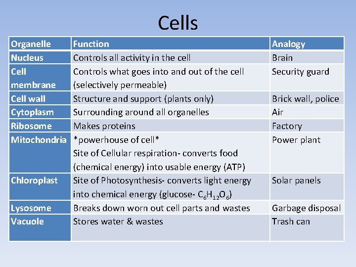 Cells Organelle Nucleus Cell membrane Cell wall Cytoplasm Ribosome Mitochondria Chloroplast Lysosome Vacuole Function