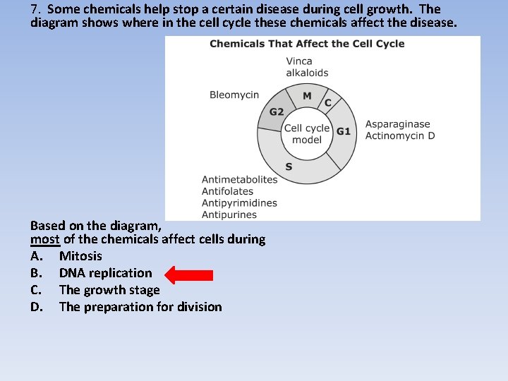 7. Some chemicals help stop a certain disease during cell growth. The diagram shows 7. Some chemicals help stop a certain disease during cell growth. The diagram shows