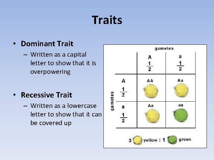 Traits • Dominant Trait – Written as a capital letter to show that it