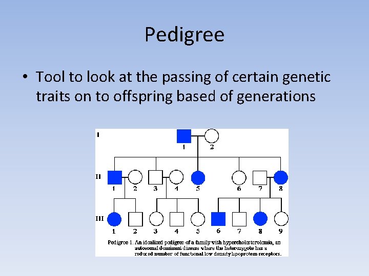 Pedigree • Tool to look at the passing of certain genetic traits on to