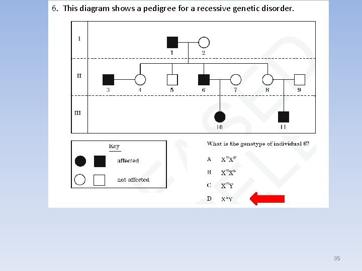 6. This diagram shows a pedigree for a recessive genetic disorder. 95 