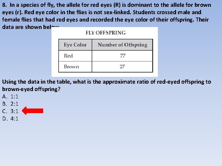 8. In a species of fly, the allele for red eyes (R) is dominant