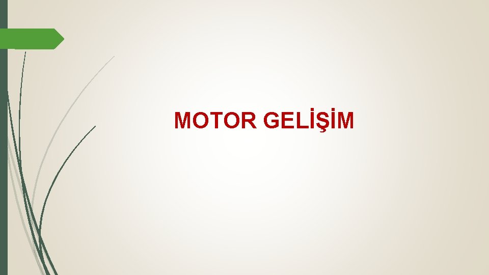 MOTOR GELİŞİM 