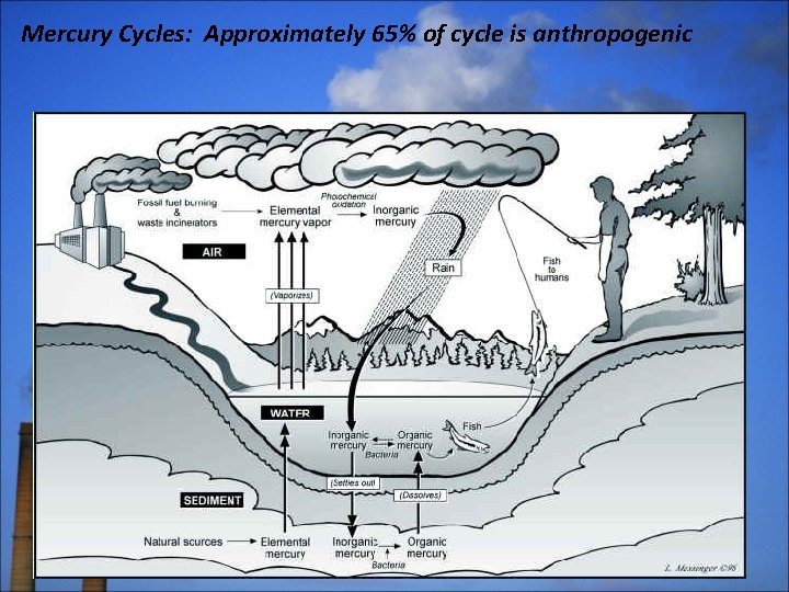 Mercury Cycles: Approximately 65% of cycle is anthropogenic 