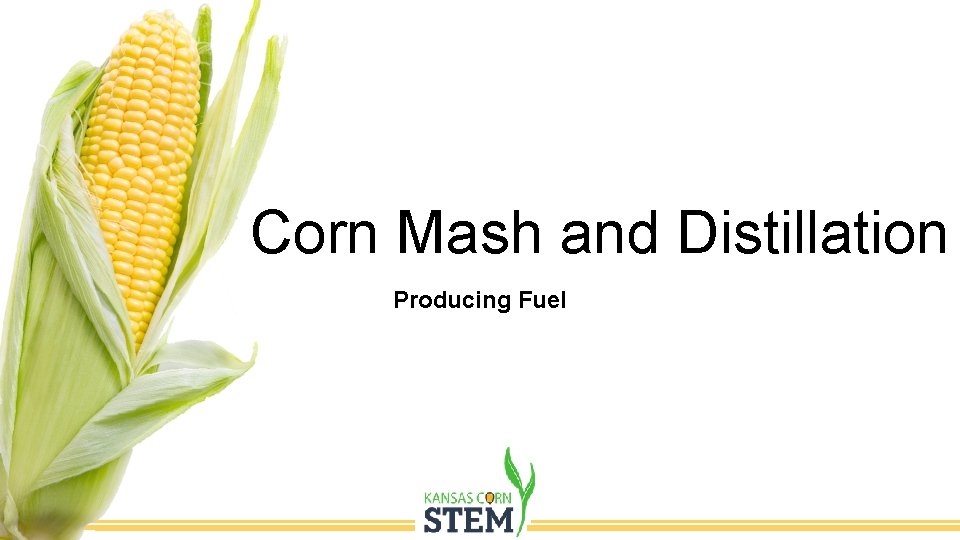 Corn Mash and Distillation Producing Fuel 