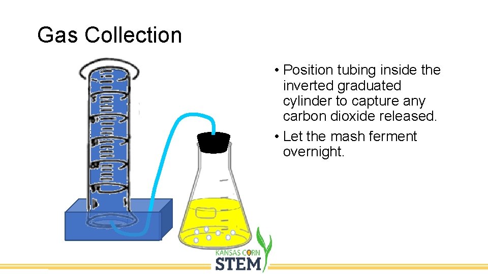 Gas Collection • Position tubing inside the inverted graduated cylinder to capture any carbon