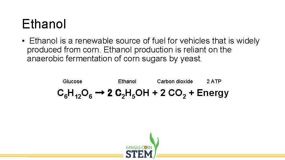 Ethanol • Ethanol is a renewable source of fuel for vehicles that is widely