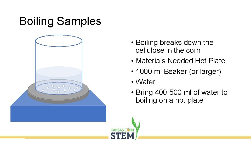 Boiling Samples • Boiling breaks down the cellulose in the corn • Materials Needed