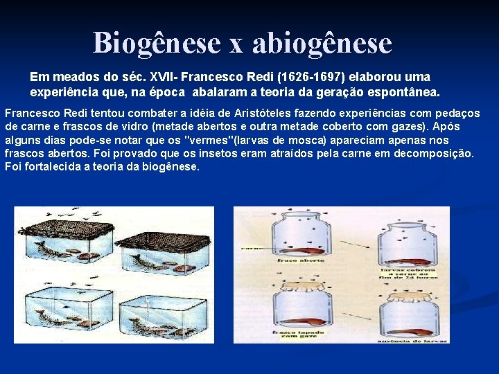 Biogênese x abiogênese Em meados do séc. XVII- Francesco Redi (1626 -1697) elaborou uma