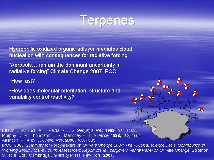 Terpenes Hydrophilic oxidized organic adlayer mediates cloud nucleation with consequences for radiative forcing “Aerosols…