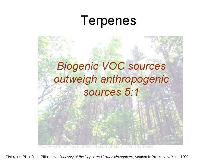 Terpenes Biogenic VOC sources outweigh anthropogenic sources 5: 1 http: //www. hermann-uwe. de/files/images/remarkable_forest. preview.