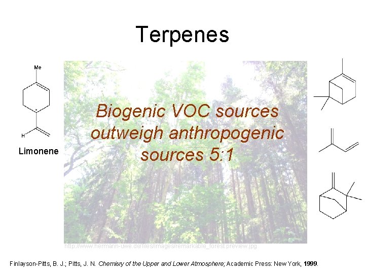 Terpenes Limonene Biogenic VOC sources outweigh anthropogenic sources 5: 1 http: //www. hermann-uwe. de/files/images/remarkable_forest.