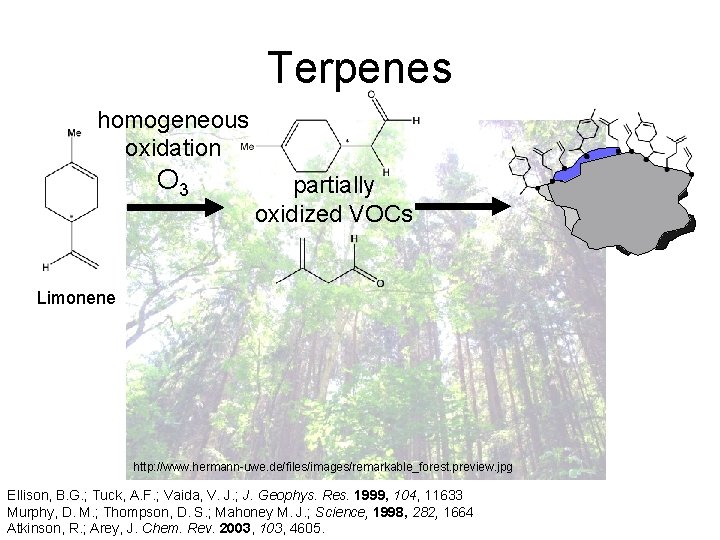 Terpenes homogeneous oxidation O 3 partially oxidized VOCs Limonene http: //www. hermann-uwe. de/files/images/remarkable_forest. preview.