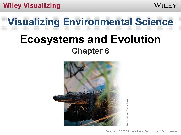 Visualizing Environmental Science Ecosystems and Evolution Chapter 6 Copyright © 2017 John Wiley &
