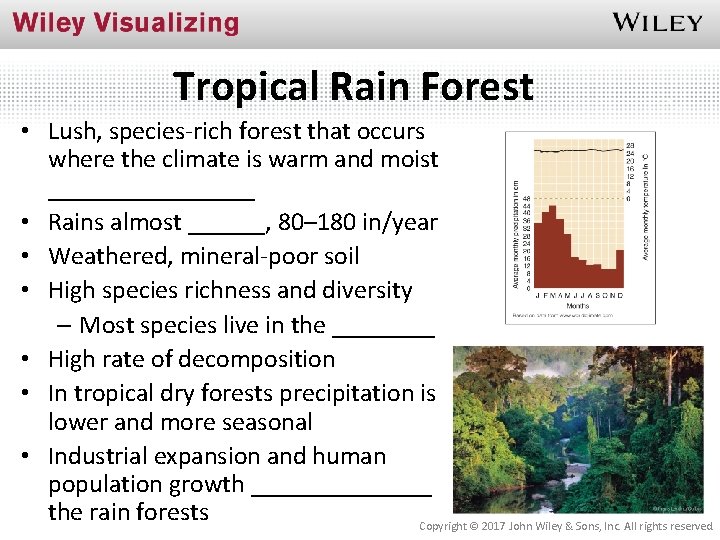 Tropical Rain Forest • Lush, species-rich forest that occurs where the climate is warm