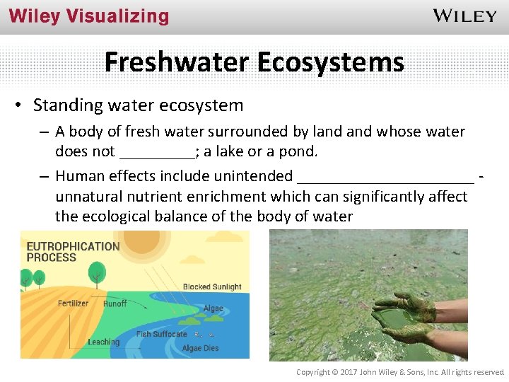 Freshwater Ecosystems • Standing water ecosystem – A body of fresh water surrounded by