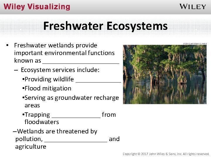 Freshwater Ecosystems • Freshwater wetlands provide important environmental functions known as ___________ – Ecosystem