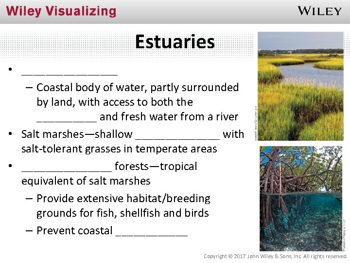 Estuaries • ________ – Coastal body of water, partly surrounded by land, with access