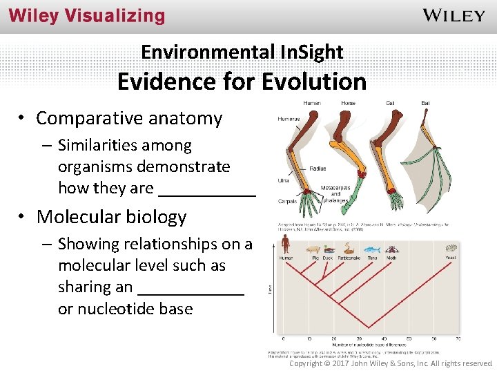 Environmental In. Sight Evidence for Evolution • Comparative anatomy – Similarities among organisms demonstrate