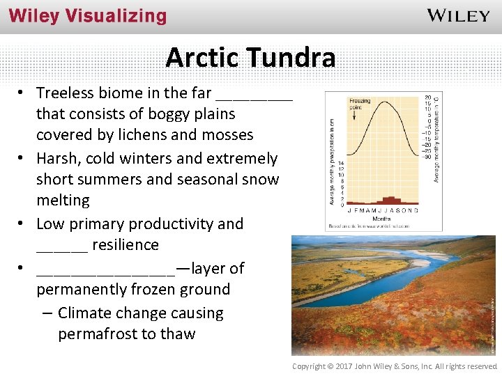 Arctic Tundra • Treeless biome in the far _____ that consists of boggy plains