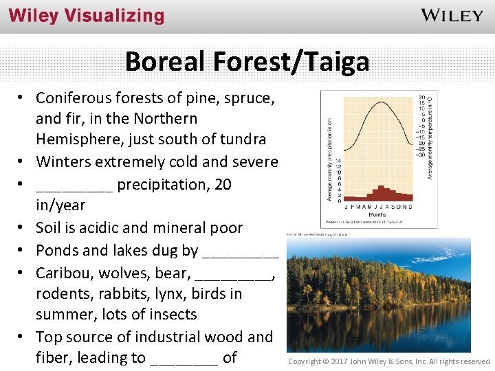 Boreal Forest/Taiga • Coniferous forests of pine, spruce, and fir, in the Northern Hemisphere,