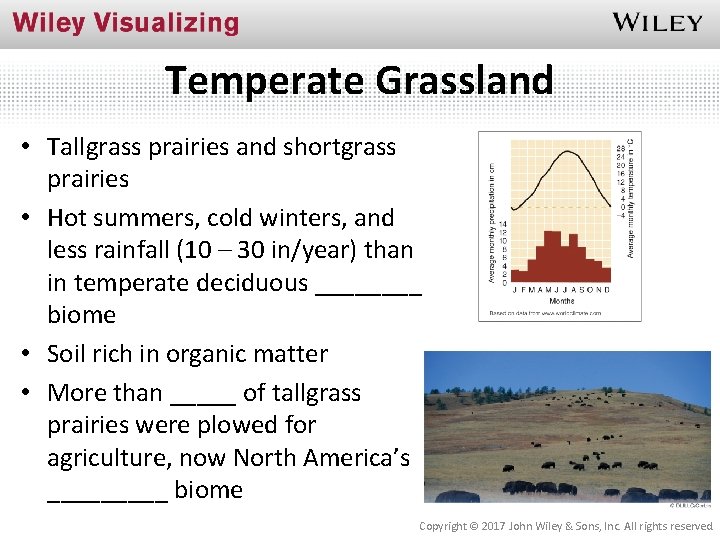 Temperate Grassland • Tallgrass prairies and shortgrass prairies • Hot summers, cold winters, and