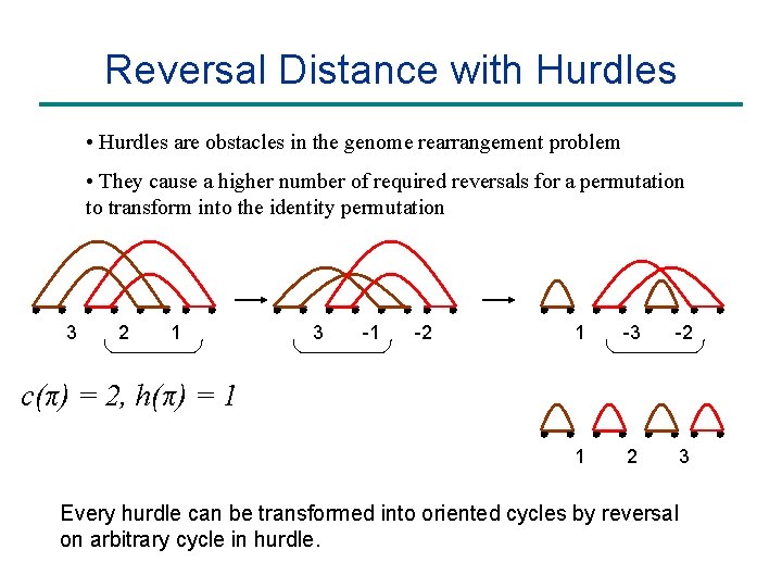 Lecture 3 Genome Rearrangements And Duplications Breakpoint Graph