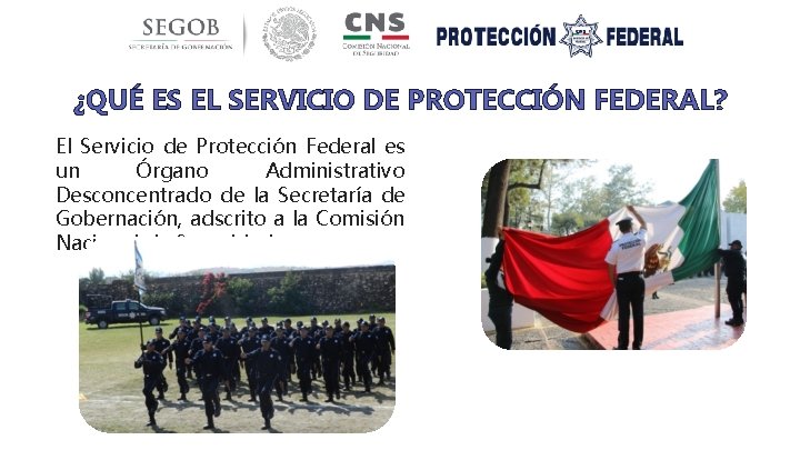 ¿QUÉ ES EL SERVICIO DE PROTECCIÓN FEDERAL? El Servicio de Protección Federal es un