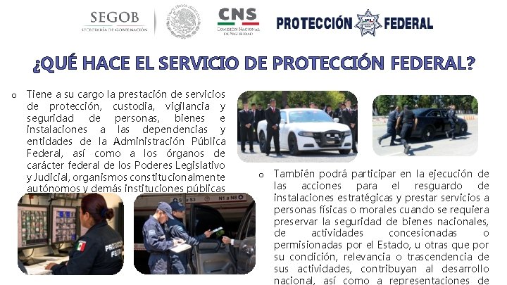 ¿QUÉ HACE EL SERVICIO DE PROTECCIÓN FEDERAL? o Tiene a su cargo la prestación
