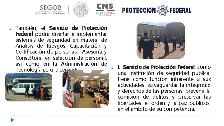 o También, el Servicio de Protección Federal podrá diseñar e implementar sistemas de seguridad