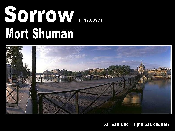 (Tristesse) par Van Duc Tri (ne pas cliquer) 