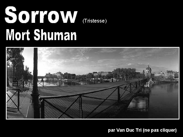 (Tristesse) par Van Duc Tri (ne pas cliquer) 