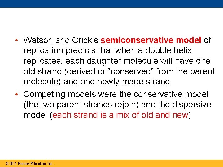  • Watson and Crick’s semiconservative model of replication predicts that when a double