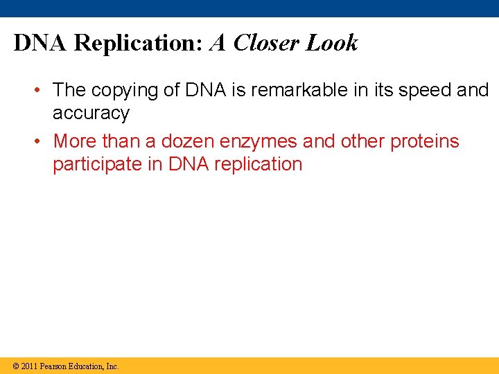 DNA Replication: A Closer Look • The copying of DNA is remarkable in its