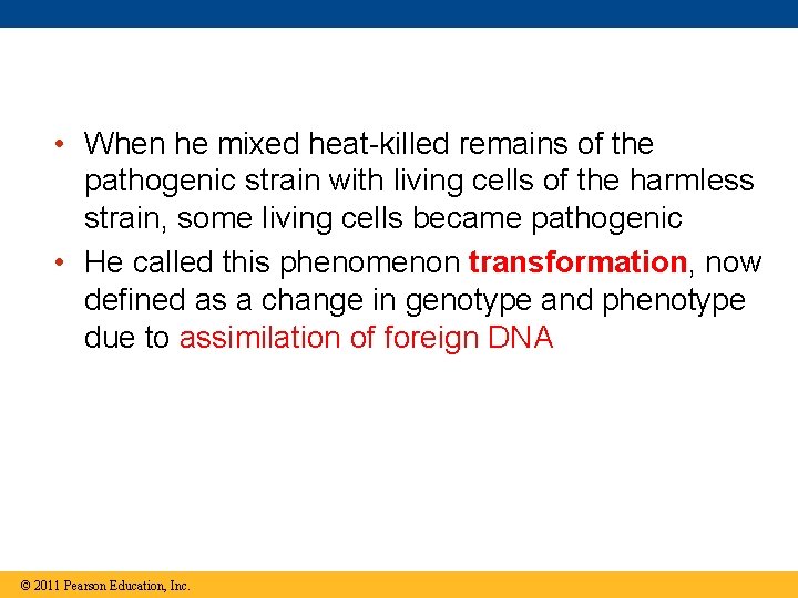  • When he mixed heat-killed remains of the pathogenic strain with living cells