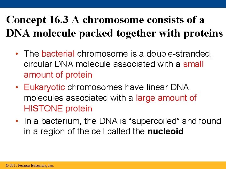 Concept 16. 3 A chromosome consists of a DNA molecule packed together with proteins