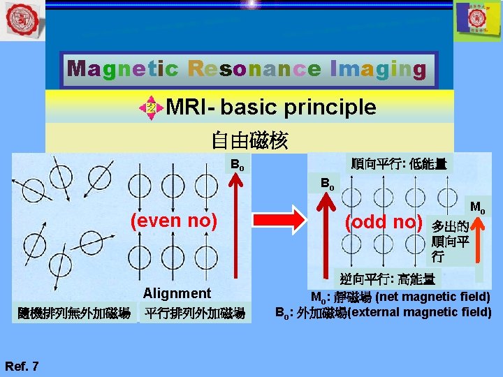 Magnetic Resonance Imaging MRI- basic principle 自由磁核 Bo 順向平行: 低能量 Bo 隨機排列無外加磁場 Ref. 7