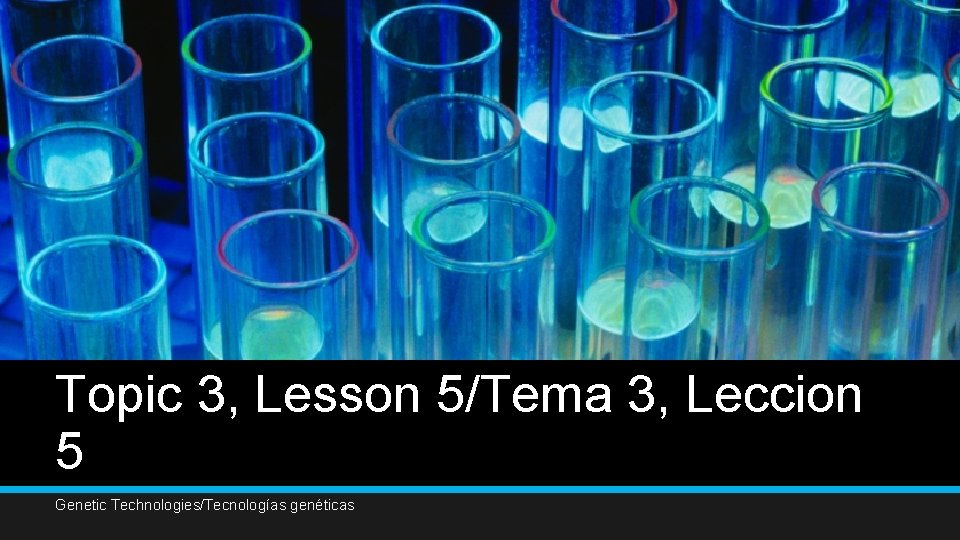 Topic 3, Lesson 5/Tema 3, Leccion 5 Genetic Technologies/Tecnologías genéticas 