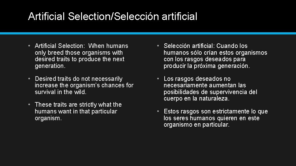 Artificial Selection/Selección artificial • Artificial Selection: When humans only breed those organisms with desired