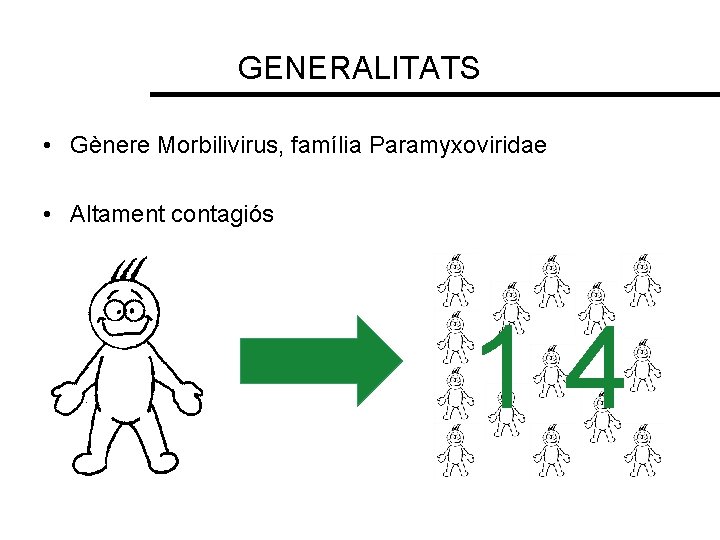 GENERALITATS • Gènere Morbilivirus, família Paramyxoviridae • Altament contagiós 14 