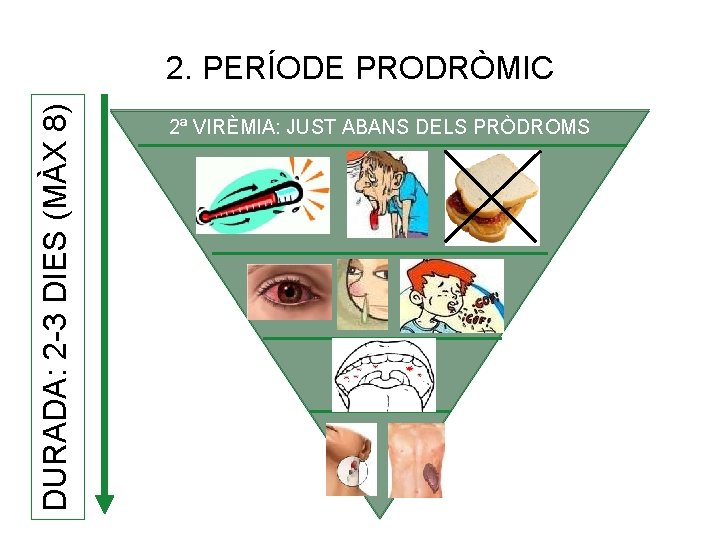 DURADA: 2 -3 DIES (MÀX 8) 2. PERÍODE PRODRÒMIC 2ª VIRÈMIA: JUST ABANS DELS