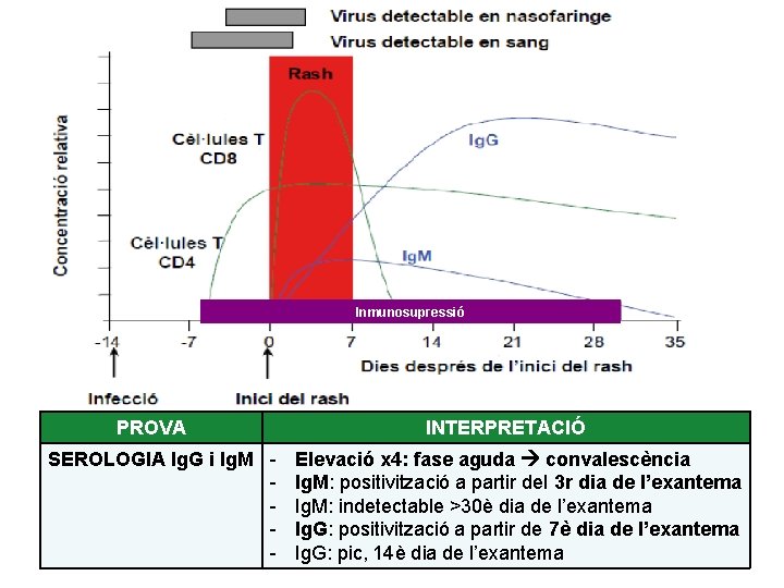 Inmunosupressió PROVA SEROLOGIA Ig. G i Ig. M - INTERPRETACIÓ Elevació x 4: fase