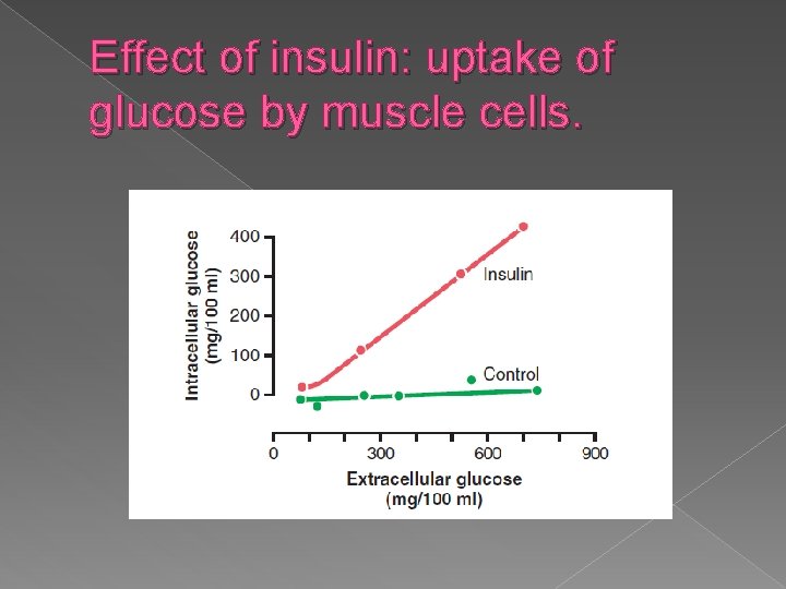 Effect of insulin: uptake of glucose by muscle cells. 