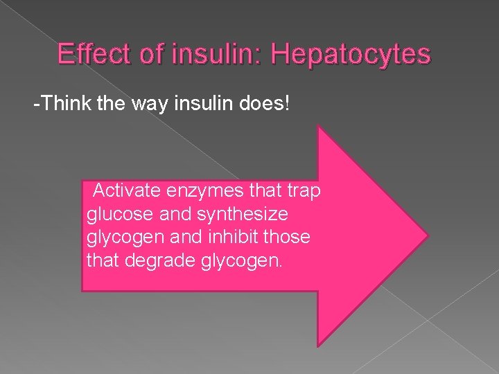 Effect of insulin: Hepatocytes -Think the way insulin does! Activate enzymes that trap glucose